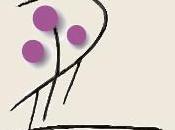 Encuentro Internacional Mujeres Salud, Bélgica, 2011