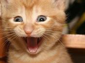 Nintendo potente Wii, según High Voltage