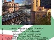 torneo ajedrez benahadux (almeria)