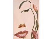 Cerezo flor