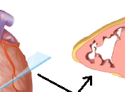 fisicoquímica transparencia