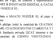 Maatg Nozzle condenada Sentencia 245/2015