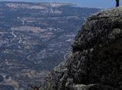 PACMA evita matanza 2.500 cabras sierra Guadarrama.