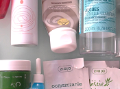 Terminados verano 2016