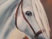 Caballos
