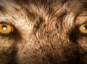 Halloblogween 2016........................relato