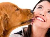 ¿Debemos dejar #mascotas “besen" nuestra cara? #Animales #Perros