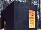 Cabana Bosque Rustica Nueva York