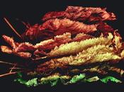 Hoy, sólo inspiración: colores otoño