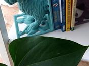 animales sujetan....