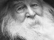 Walt Whitman durmientes