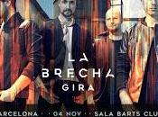 cubrirá concierto Madrid Dardem (11-11-2016)