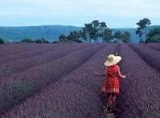 Charlando Pedro Brotini