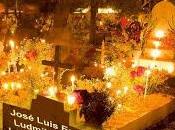 Noche Letras vivientes