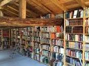 Viva lectura