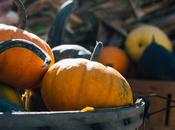 FREE PHOTOS: "pumpkins", calabazas