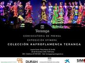 Durán Arte Subastas presenta Proyecto Teranga (noviembre diciembre 2016)