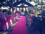 Packs Decoración Boda Civil←