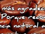 Cinco Principios Reiki