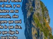 Orar