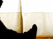 Abuso sexual: sufren cada chicas varones