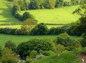 libertad sol.- microrrelato ángel silvelo