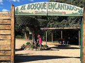 Plan recomendado: paseo Bosque Encantado