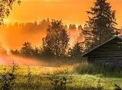 Receta para superar vida pastillas