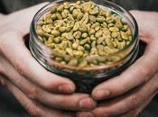 Beans, evento SlowMov Green Mama
