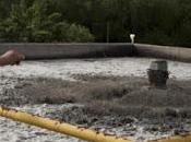 Concejales vieron olieron contaminación Limay