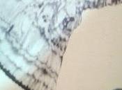 Pérez Cañamares: regreso nosotros