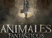 magia vuelve "Animales Fantásticos Dónde Encontrarlo"