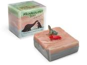 Archaeology Soap