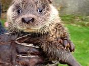 tienes dinero para alojarte? Puedes quedarte estos sitios gratis