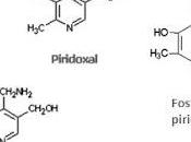 piridoxina, vitamina desconocida