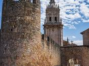 Puerta Miguel