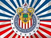 americanista sería nuevo fichaje Chivas, Cuatro equipos quieren jugador Podóloga Chivas