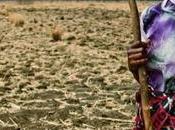 COP22 eterna lucha contra cambio climático