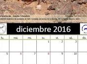 Calendario AeE-GEV. Diciembre