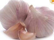 ¿Porqué ingrediente estrella Navidad?