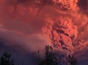 Volcán Puyehue: hallan efectos sorprendentes sobre biodiversidad