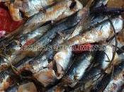 Tajíne sardinas