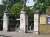 jardines