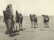 Viajar Egipto 1870, cómo salvar Amazonas fotos, fotos comida parecen más: Galaxia Xataka Foto