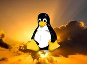 Linus Torvalds presenta oficialmente Linux