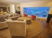 Hombre construye acuario gigante casa