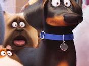 #Sofapelimanta: Mascotas