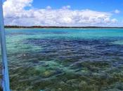 Playa Paripueira. Maceió. Alagoas
