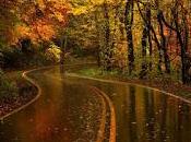 sonido unos pasos...