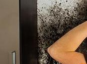 Consejos expertos para prevenir eliminar moho casa